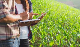 Audit-agricole Audit-agricole